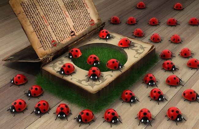 Ladybug - usa ka simbolo sa balaang tabang, proteksyon