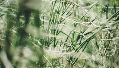 Giunsa paghimo ang usa ka maayong swerte nga olulet sa imong kaugalingon nga mga kamot